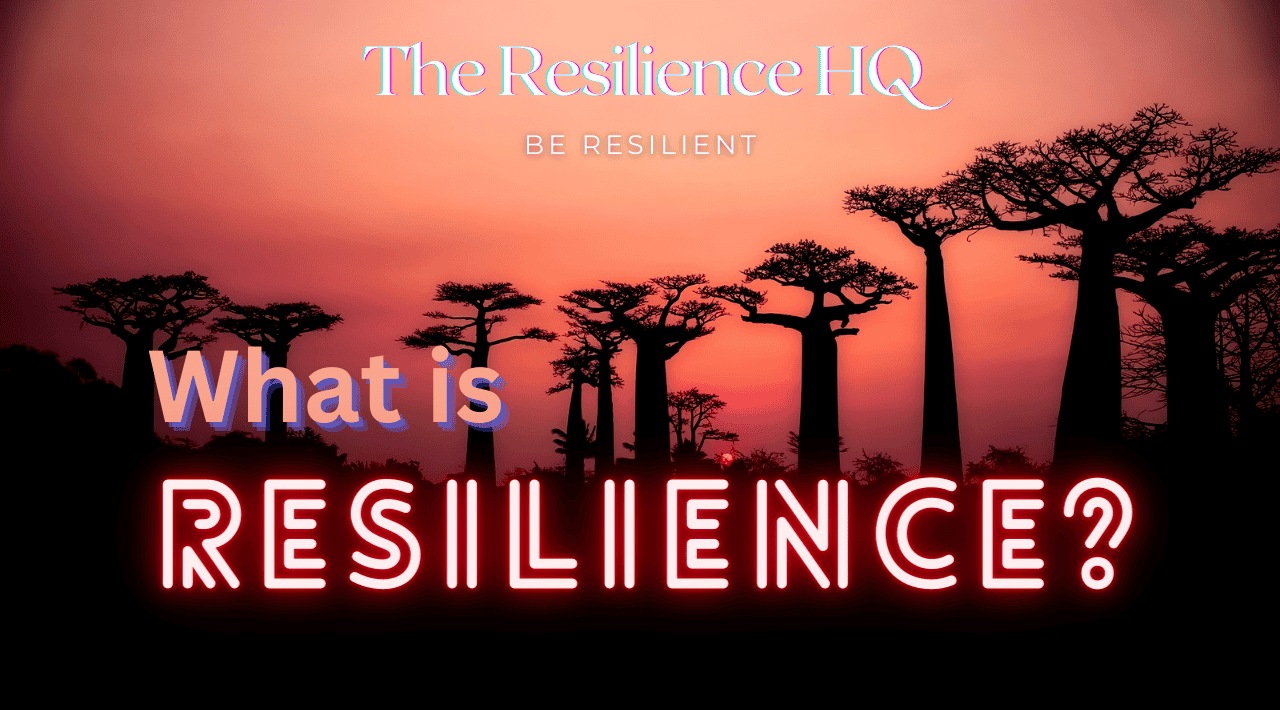 What is Resilience? 3 Definitions You Need to Know