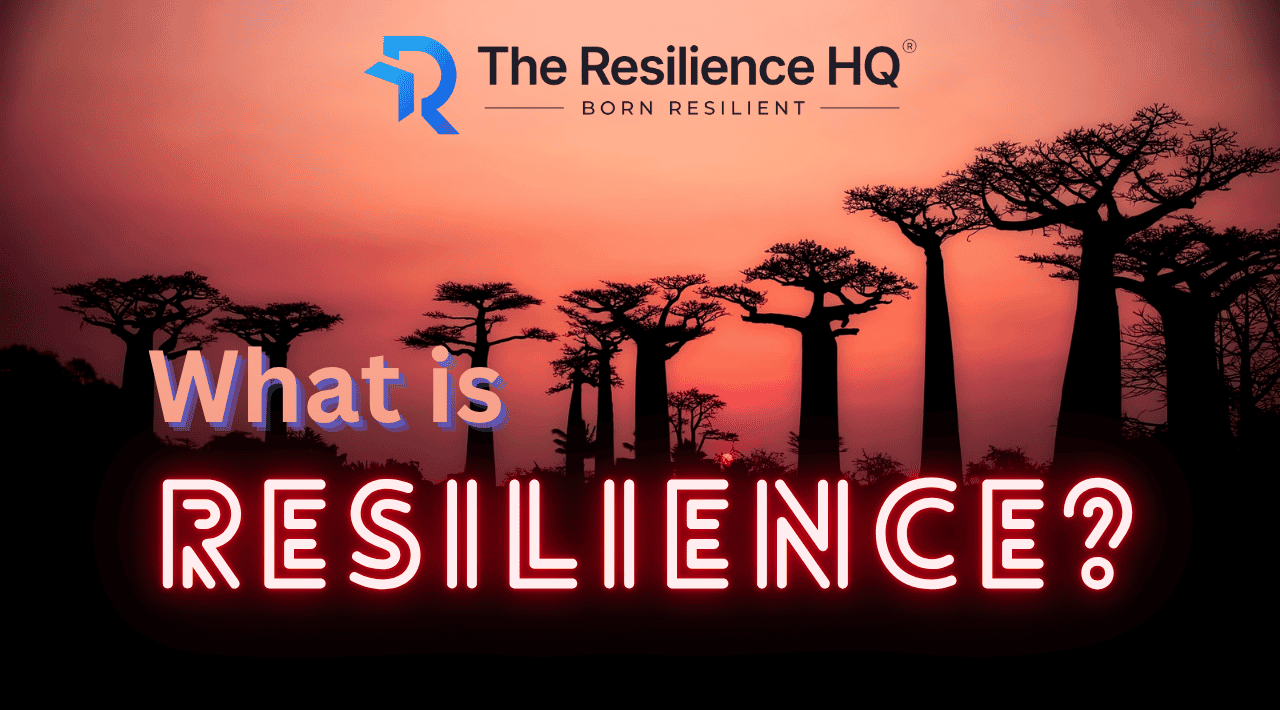 What is Resilience? 3 Definitions You Need to Know